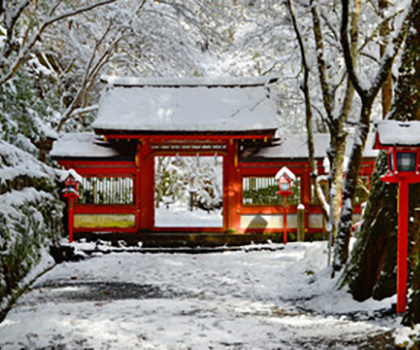 雪桜(ゆきざくら)霊能者